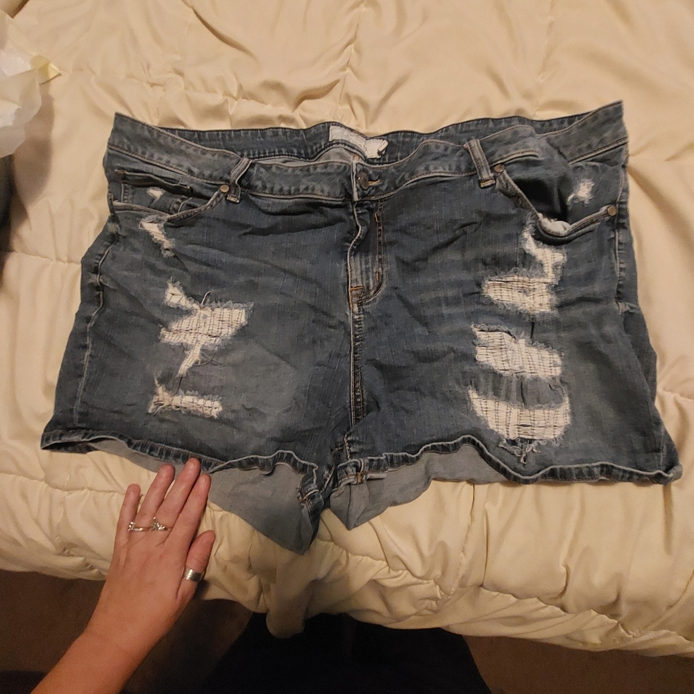 Torrid plus size jean shorts